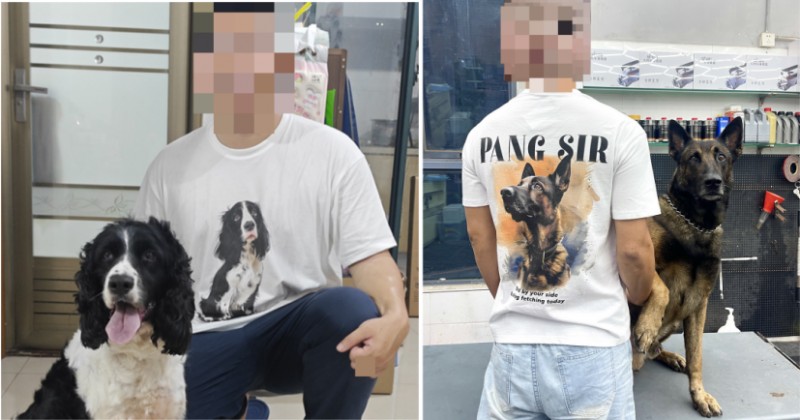 宠物个性化打扮定制